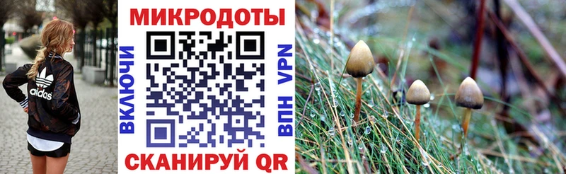 Псилоцибиновые грибы MAGIC MUSHROOMS  где купить наркотик  Кириллов 